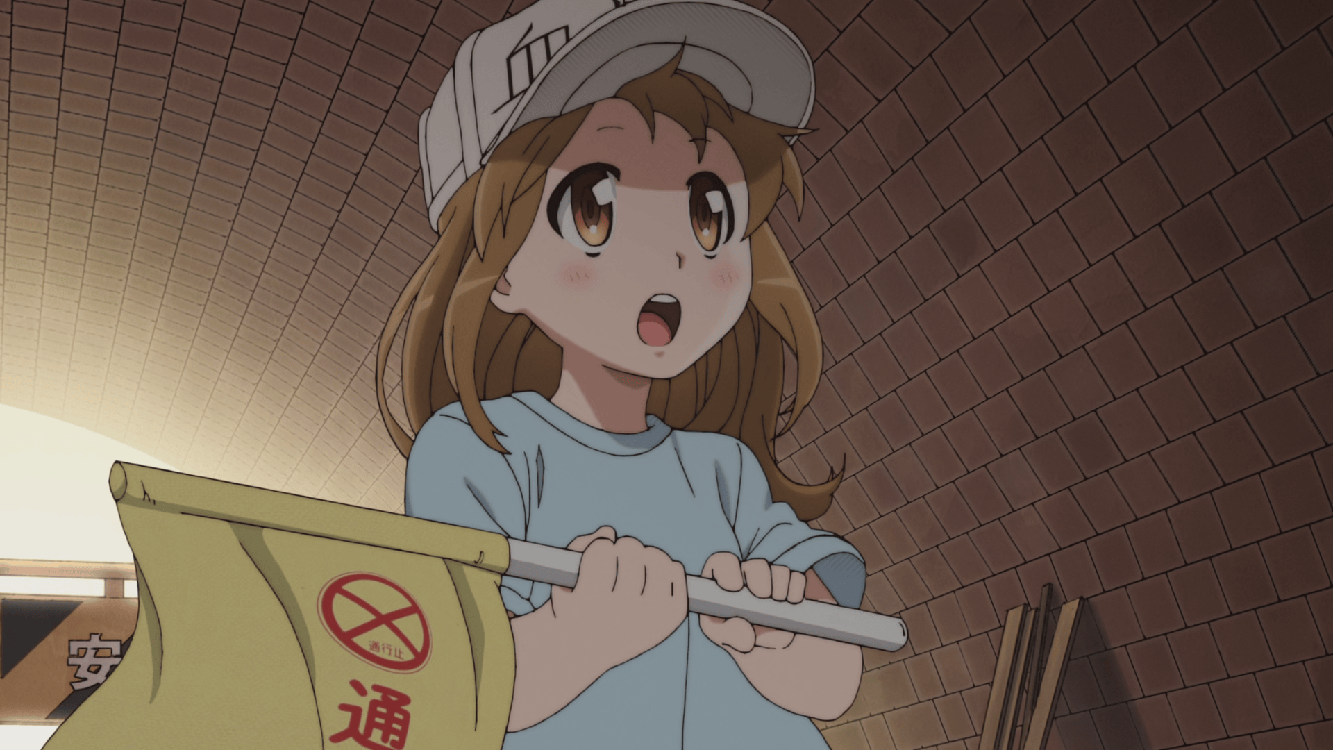 《工作细胞》追番全解析：37兆细胞的热血世界，每一秒都是知识点！